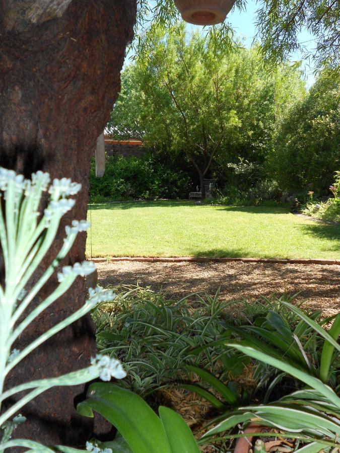 Pane Vivente Garden Cottage Beaufort West Exterior foto